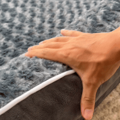 Elevate Your Dog's Comfort, Enrich Your Home